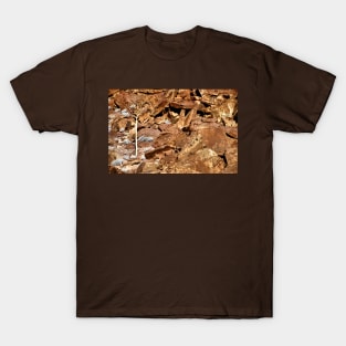 Lone Tree & Rock Engravings, Twyfelfontein T-Shirt